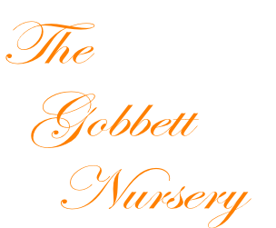 The 
  Gobbett 
    Nursery
